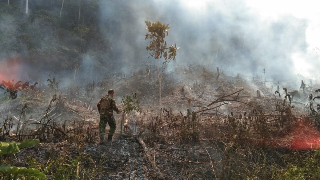 Sigap, Babinsa Pos Ramil Langap Padamkan Kebakaran Hutan Dengan Alat Seadanya